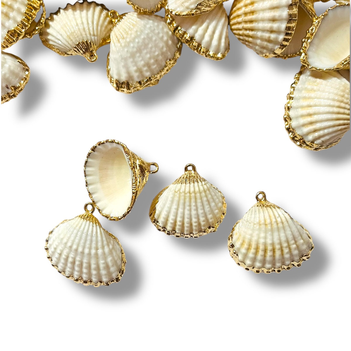 🐚 1 pz Dije de Concha Abanico Marina Natural con Borde Dorado