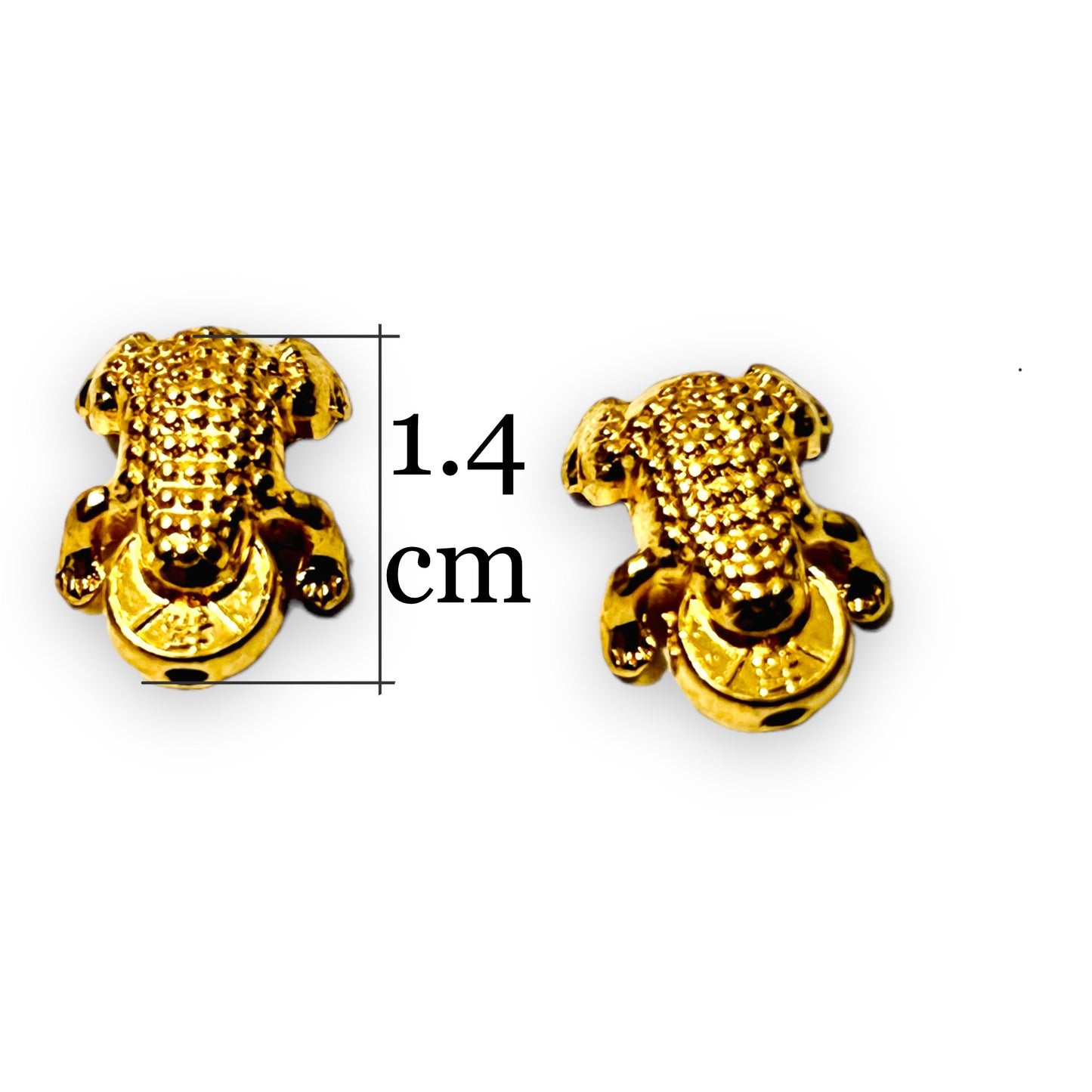 5 pz Dije Rana con moneda