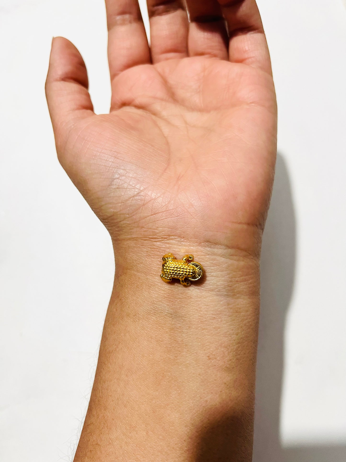 5 pz Dije Rana con moneda