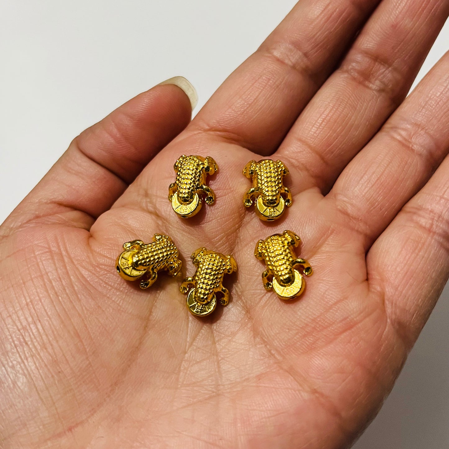 5 pz Dije Rana con moneda