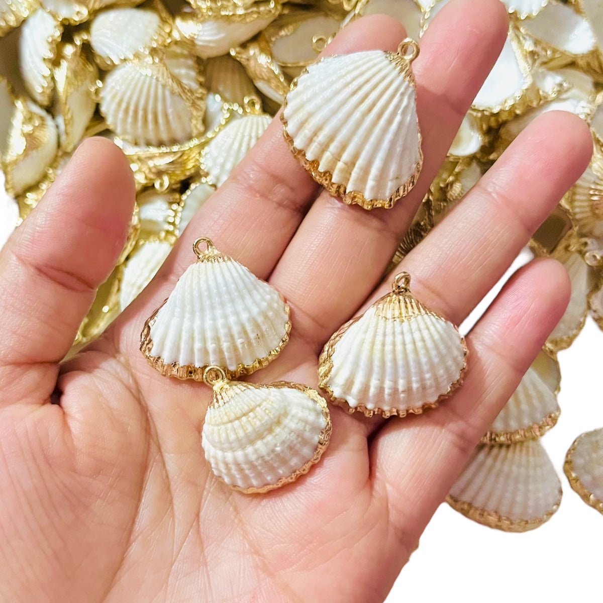 🐚 1 pz Dije de Concha Abanico Marina Natural con Borde Dorado
