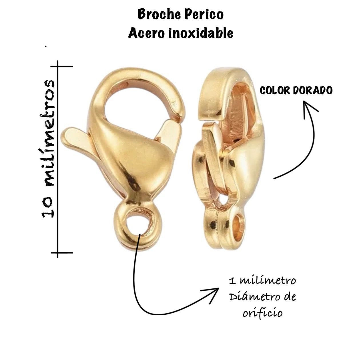 10 pz Perico Acero Inoxidable - broche terminal