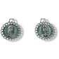 10 medallas para bordar, Virgen de Guadalupe
