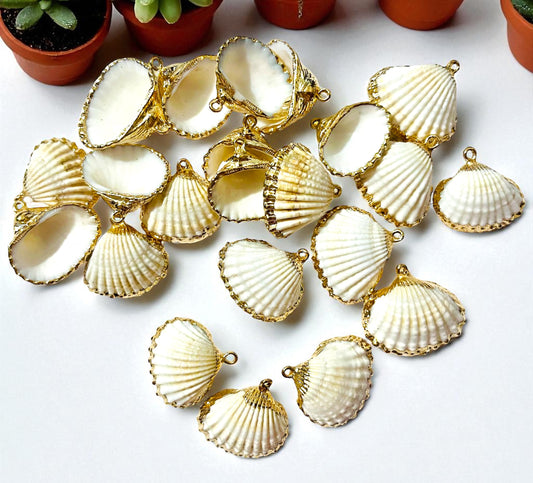 🐚 1 pz Dije de Concha Abanico Marina Natural con Borde Dorado