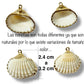 🐚 1 pz Dije de Concha Abanico Marina Natural con Borde Dorado