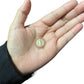 20 pz Medalla para bordar San Benito 2cm